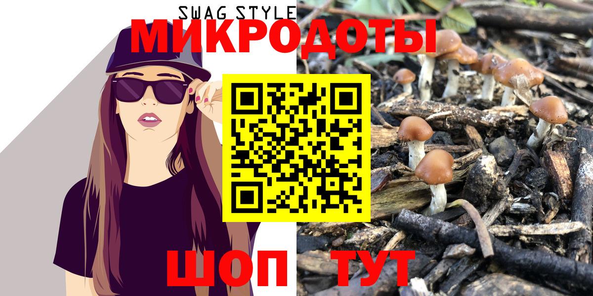 Ессентуки  Псилоцибиновые грибы Psilocybine cubensis  Галлюциногенные грибы мицелий  Вход с VPN 